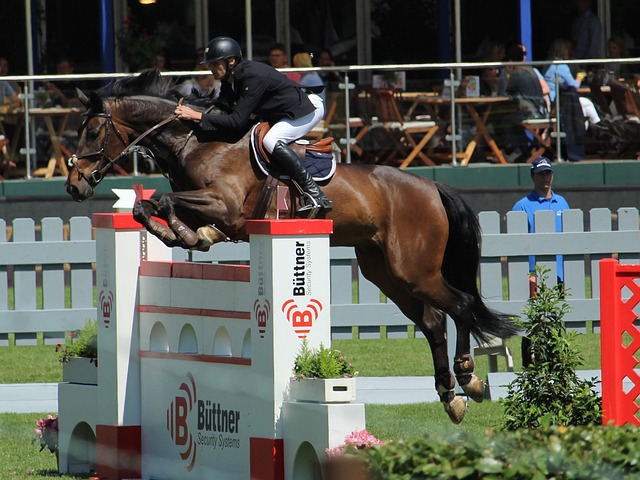 折中汲取经 折中汲取经