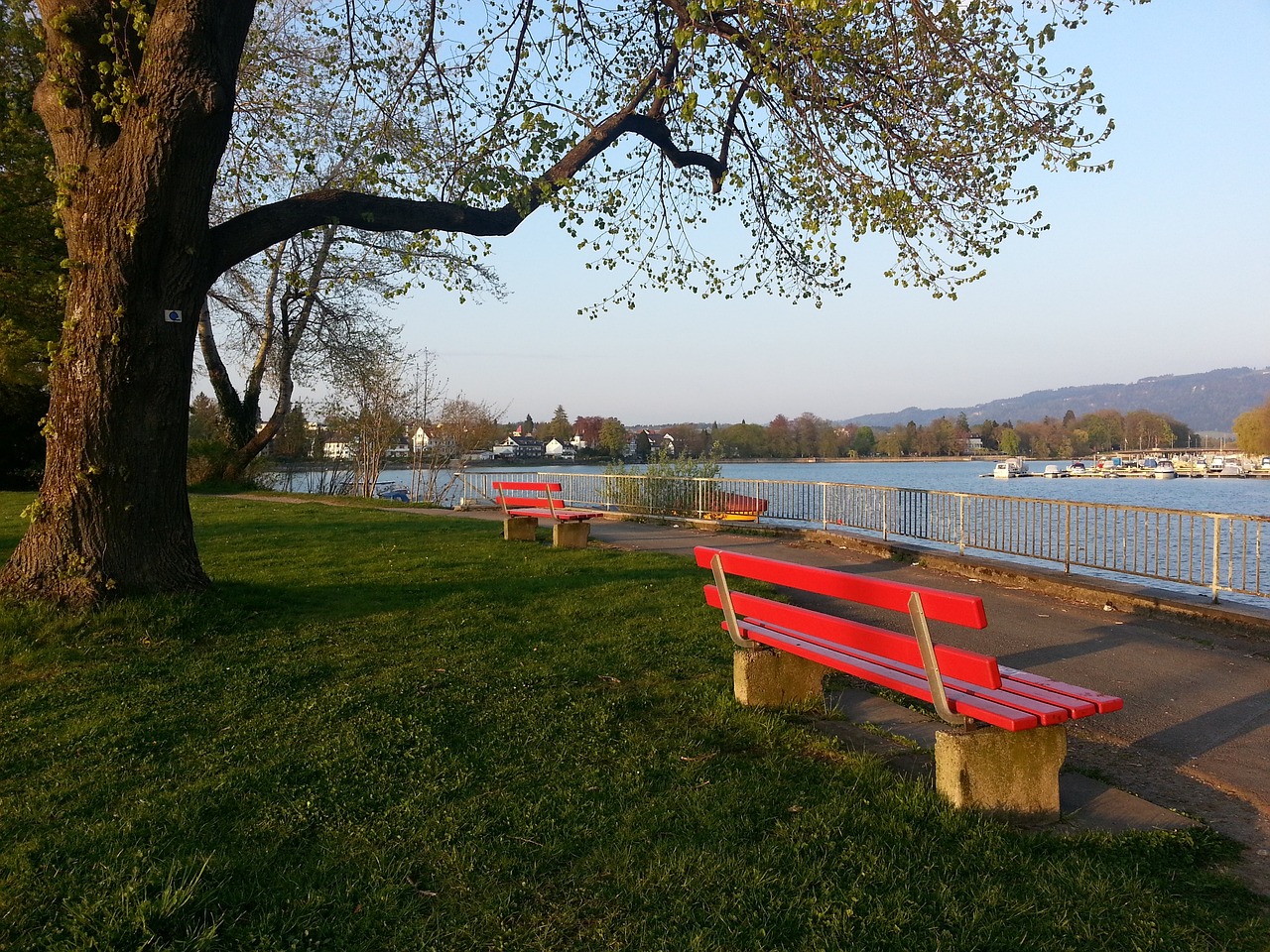 素不仅影响 素不仅影响