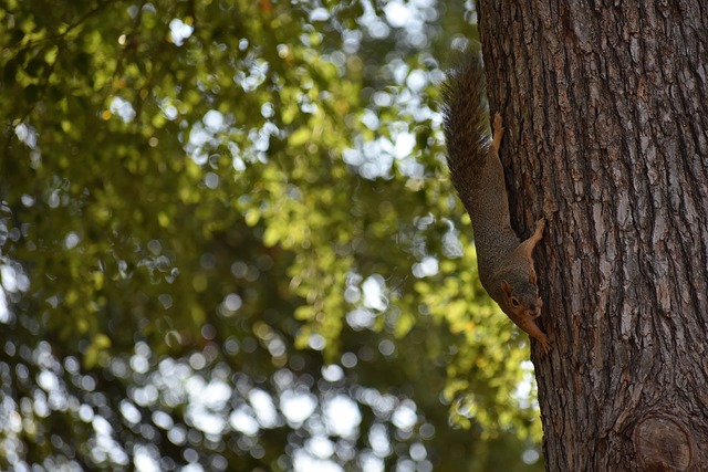 事後她笑說 事後她笑說