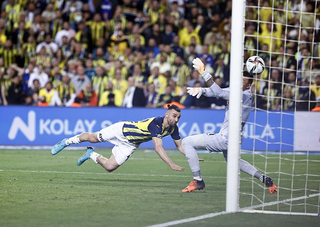 观众带来的 观众带来的