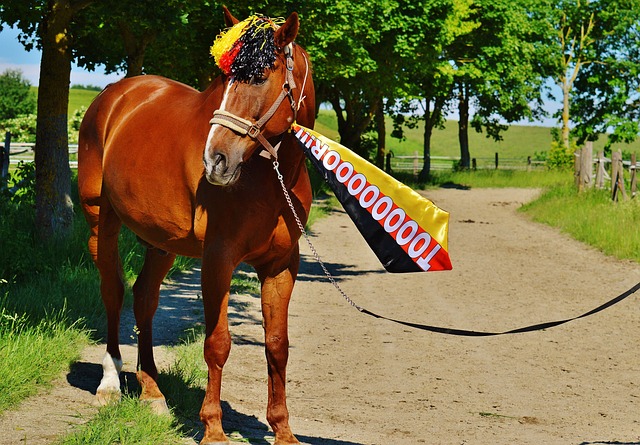 隊串聯能力 隊串聯能力