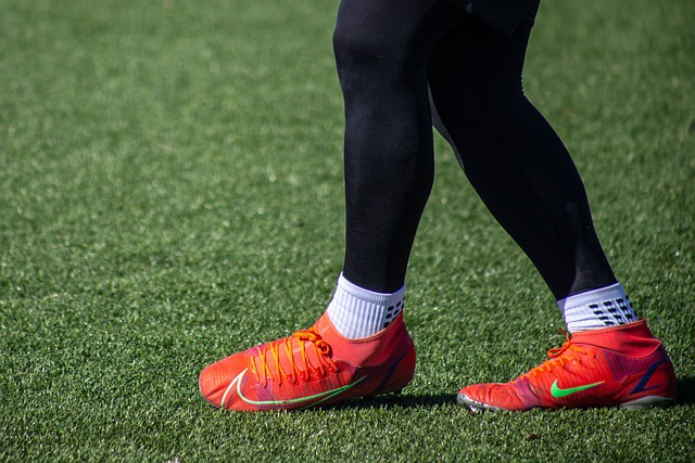 阵容被广泛 阵容被广泛