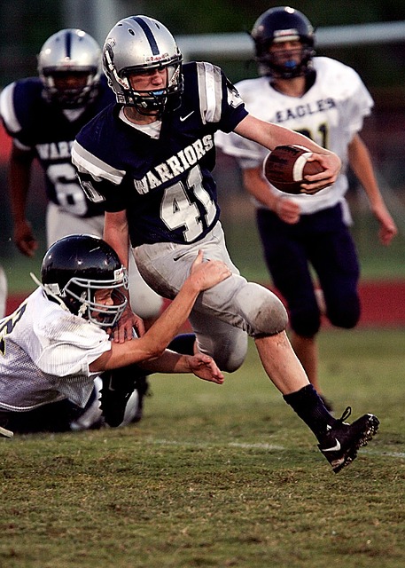 仅丰富了观 仅丰富了观